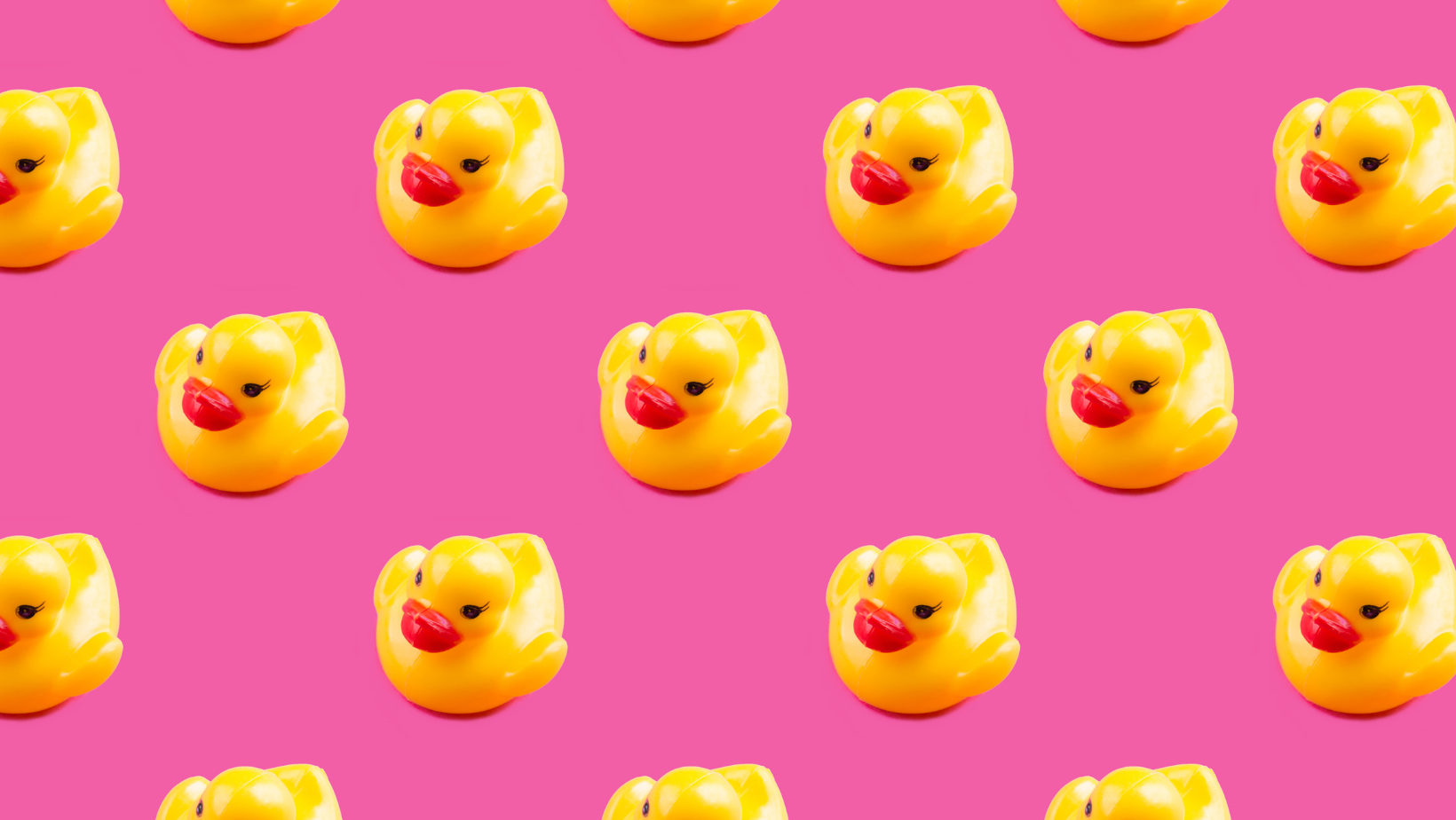 Wallpaper:y1c5pjg5svg= Duck